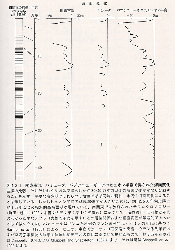 ֓암̊Cʕω